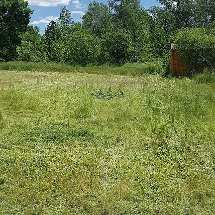 Looking east towards creek