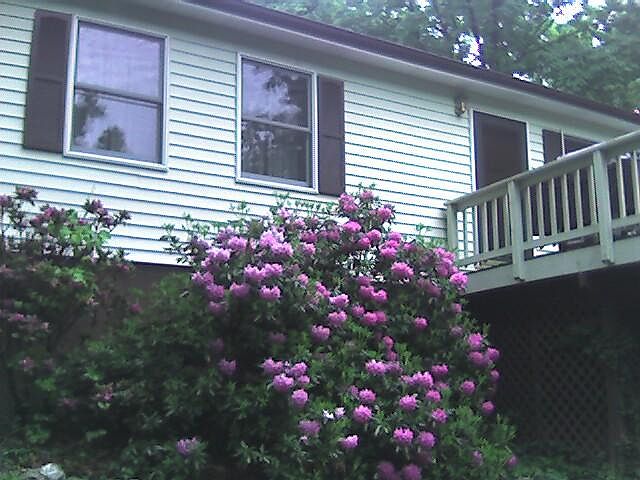 Spring time
