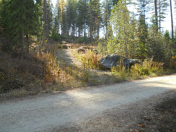 Circular drive to property