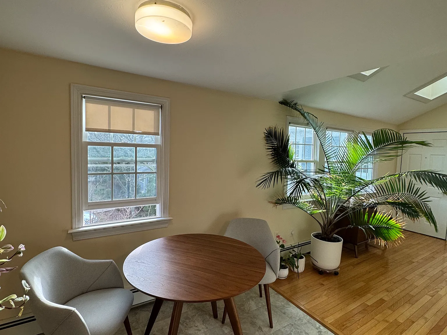 1 bed, 800 sqft, $2,485 — Photo 4