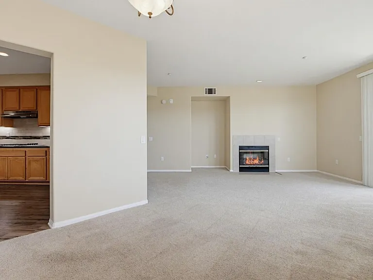 823 Kalpati Cir #201 — Photo 14