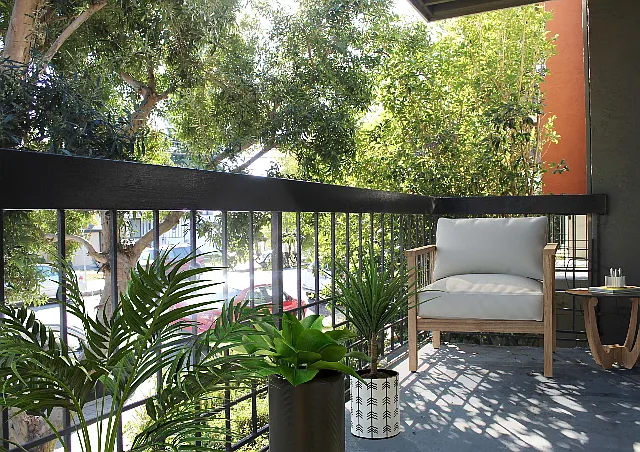 1 Bed 1 Bath