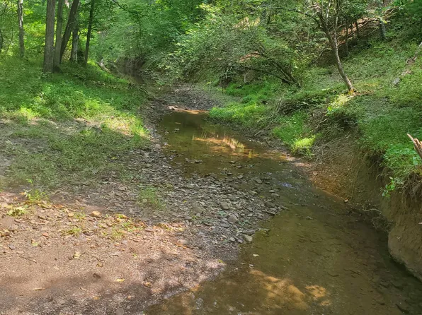 Pig Run Rd, Millboro, VA 24460