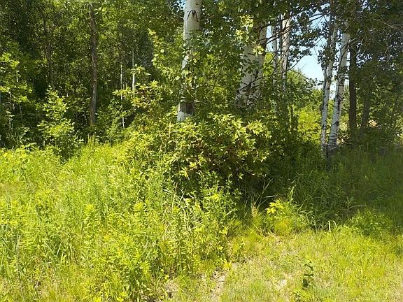 5th image of 9888 Mudhen Lake Road