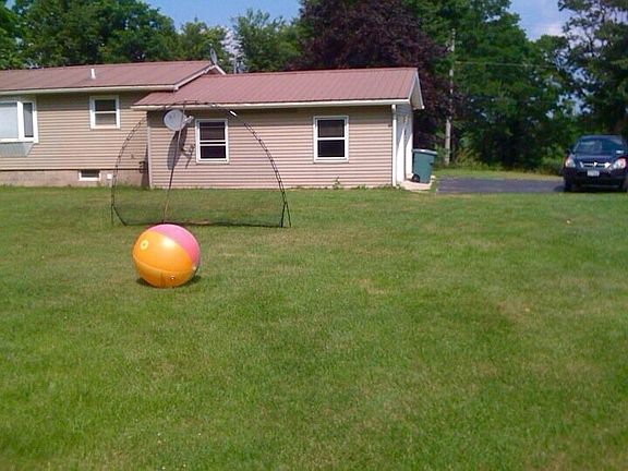 backyard, facing road