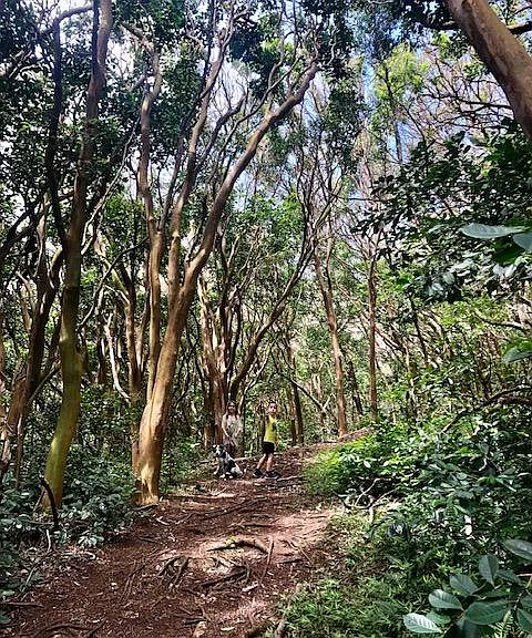 Hike in the back of our valley - drive 30 seconds or jog 10 minutes and you are at the trail head. Take a dip in the refreshing stream pools after a big rain.