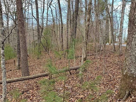 5th image of 358 Waleska Ln