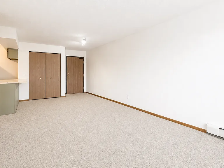 1011 5th Ave S #303 — Photo 6