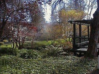 1st image of 2350 Shelter Creek Ln