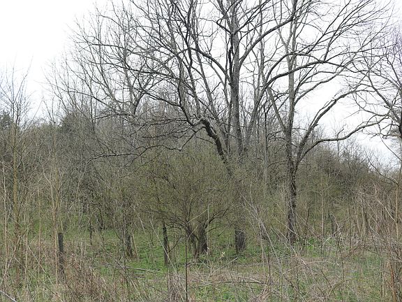 4th image of 1475 Saltwell Headquarters Rd