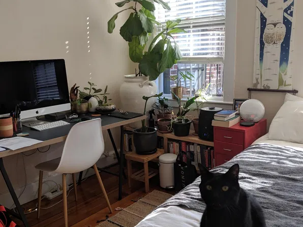 2 Smith Ct #4, Boston, MA 02114