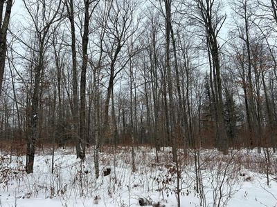 18 Cth G, Pelican Lake, WI, 54463