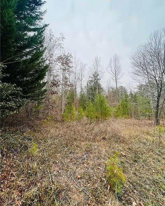 2nd image of 0 Big Rock Lake Rd