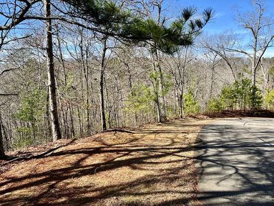 LOT 105 Tumbling Waters Ln, Ellijay, GA, 30540