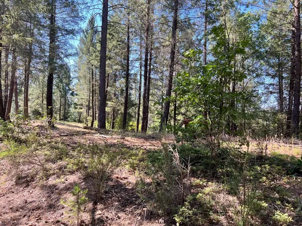 43 Bottle Hill Rd, Georgetown, CA 95634