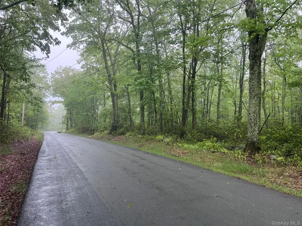 Budd Road, Wurtsboro, NY 12790