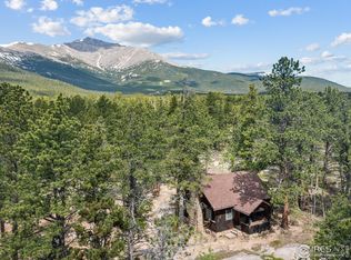 84 County Road 113 N, Allenspark, CO 80510