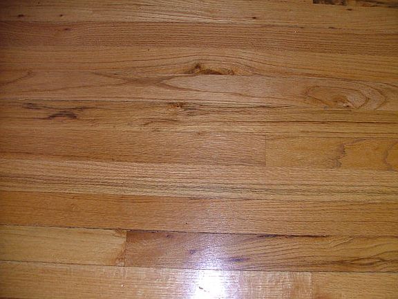4th image of 925 Syringa Dr
