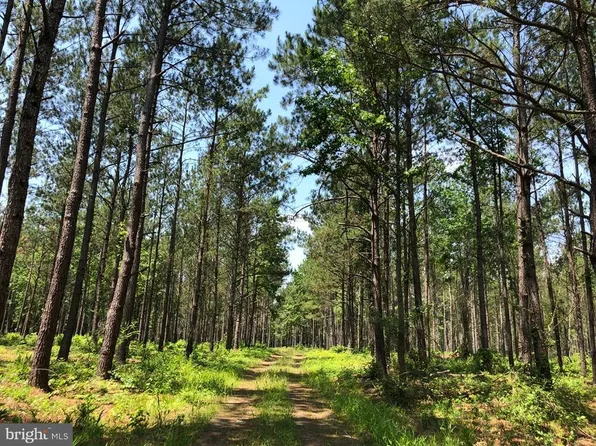 Old Bridge Road Route 742 Tract Block N #16, Courtland, VA 23837
