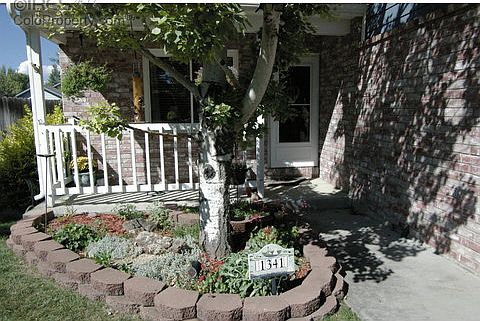 3rd image of 1341 Garden Cir