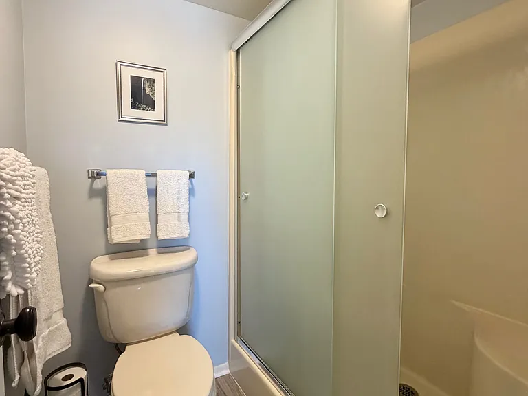 Primary walk-in shower!