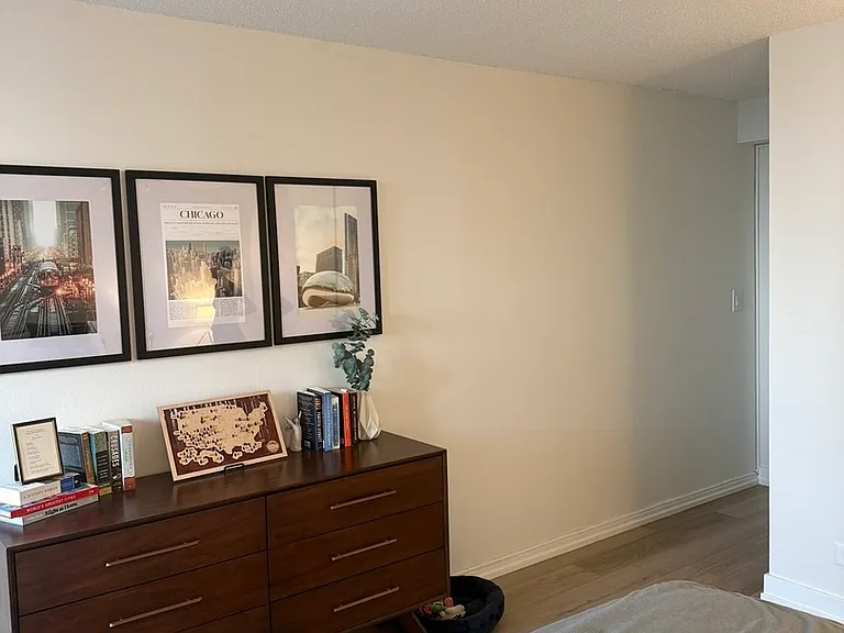 10 E Ontario St #5007 — Photo 2