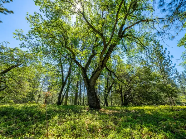 17050 Alicia Dr, Pioneer, CA 95666