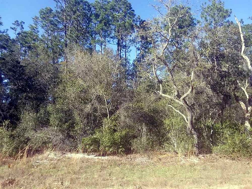 1st image of Aster Cir