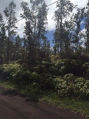 1st image of Kapiolani St Lot 393