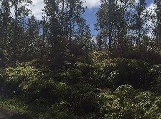 Kapiolani St LOT 393, Pahoa, HI 96778