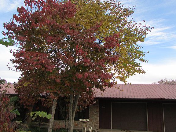 2nd image of 1344 Tuckaleechee Trl