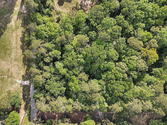 5th image of 15662 Ben Wiggins Rd