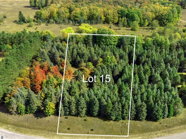 LOT 15 Lipp Farm Rd, Benzonia, MI 49616