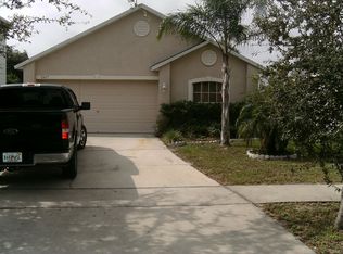 11617 Ivy Flower Loop, Riverview, FL 33578