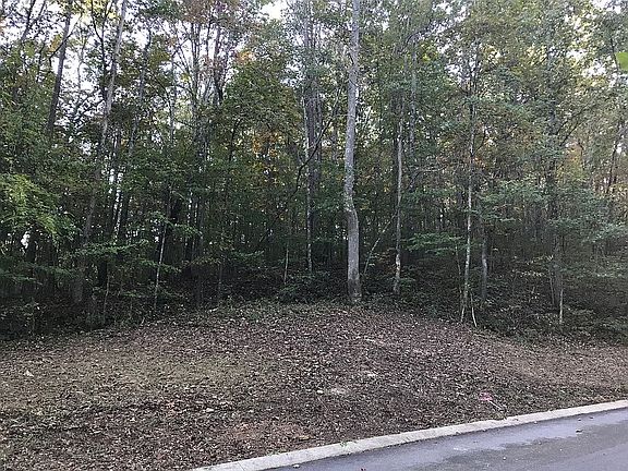 4th image of Oak Terrace Cv