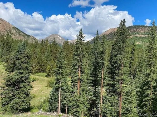 1141 County Road 698, Alma, CO 80420