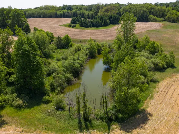 22 Mile Rd, Evart, MI 49631