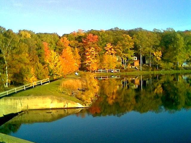 2nd image of Forest Glen Dr