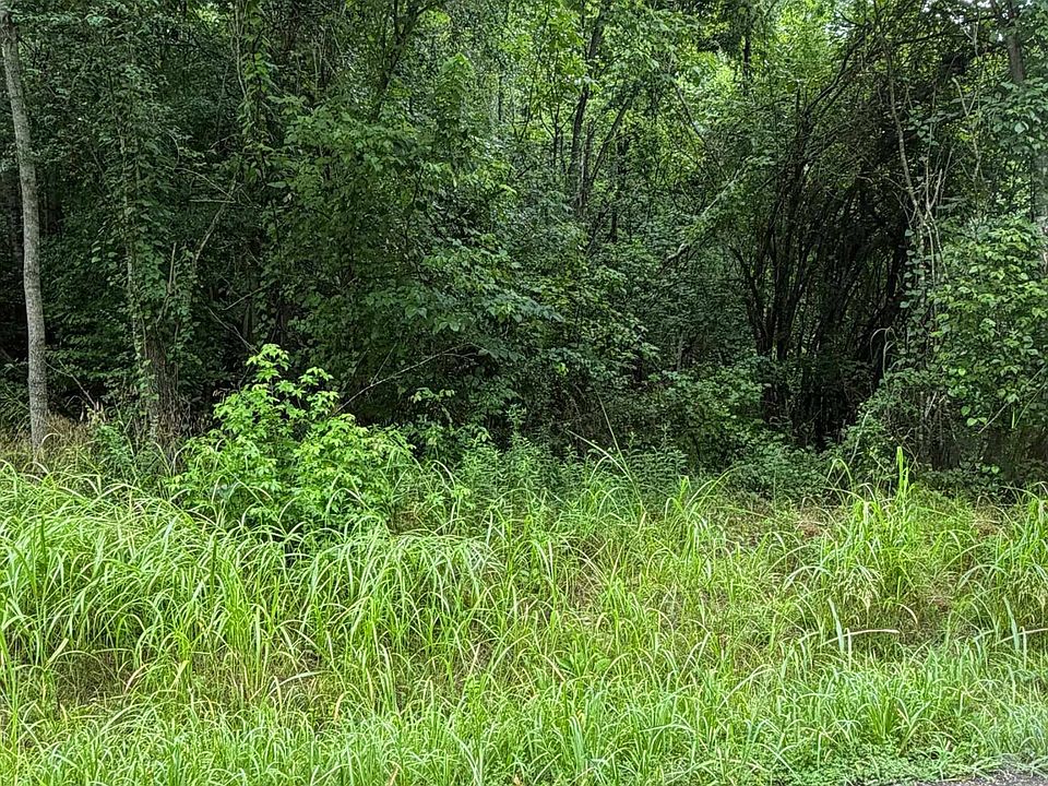 1st image of 0 Lula Ferrell Dr