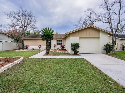 13819 Pathfinder Dr, Tampa, FL, 33625
