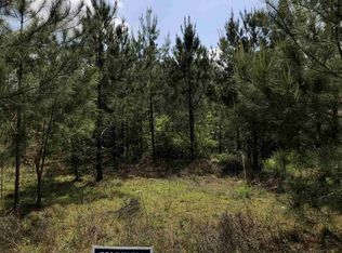 334 N Charles Willis Dr, Midway, FL 32343