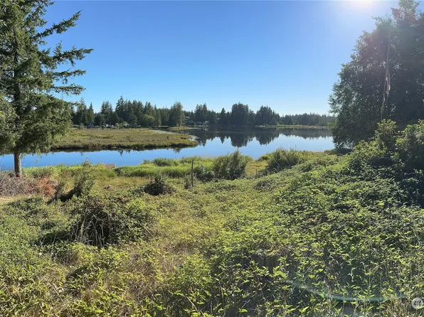 1670 W Star Lake Drive, Elma, WA 98541