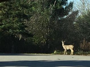 203 Independence Ln, Wausau, WI 54403