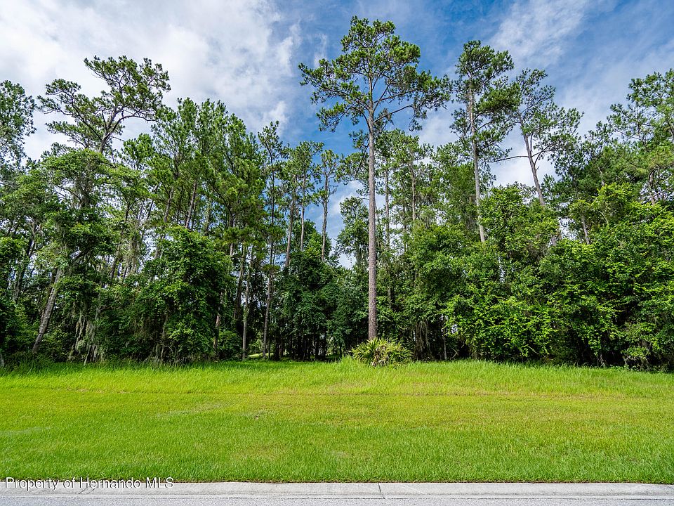 1st image of 19593 Sterling Bluff Way
