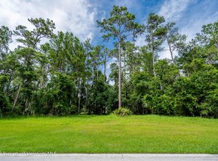 19593 Sterling Bluff Way, Brooksville, FL 34601