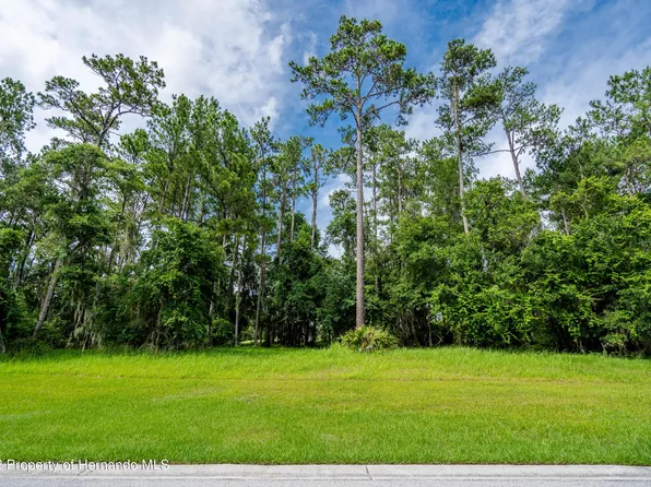 19593 Sterling Bluff Way, Brooksville, FL 34601