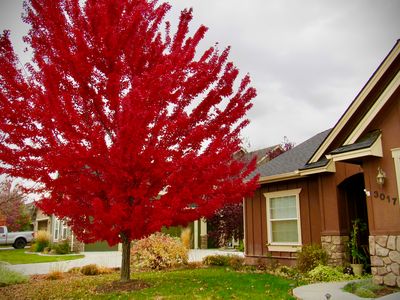 3017 N Christian Way, Meridian, ID, 83646