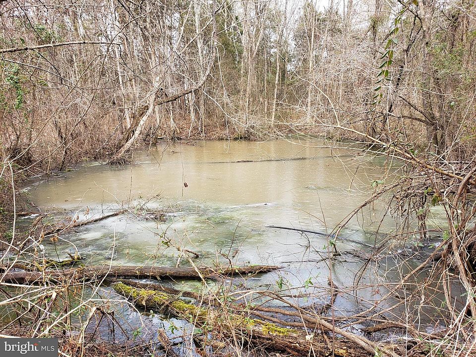 2nd image of 10516 Bristersburg Rd