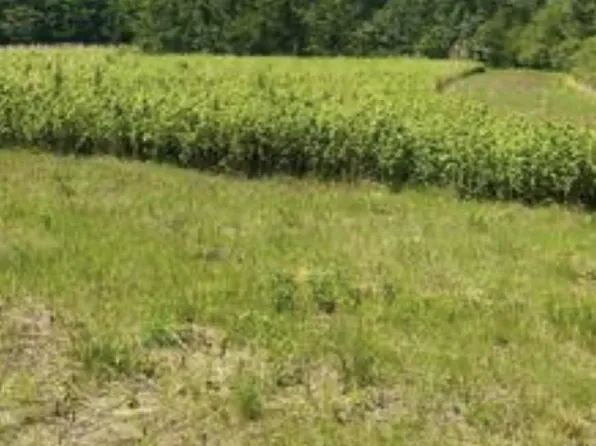 11 Kings Ct, Montross, VA 22520