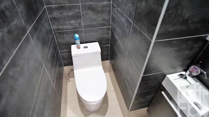 Rented by Lofts and Flats LLC | media 15